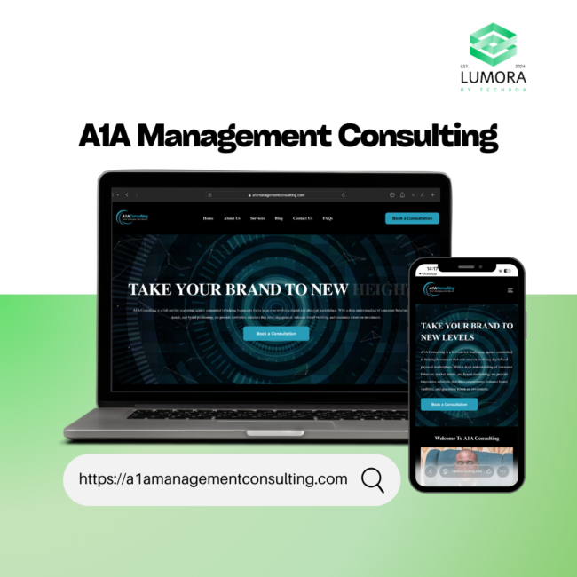 A1A Management Consulting